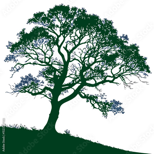 Green tree isolated on white vector image free download.