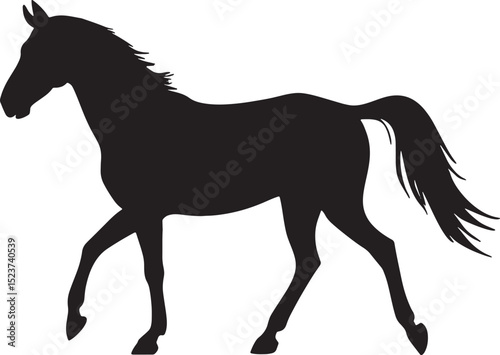 Horse Silhouette