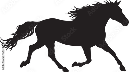 Horse Silhouette