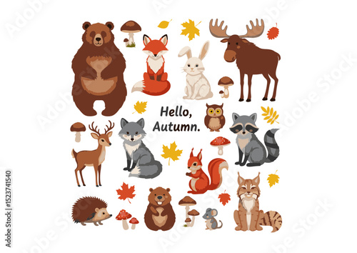 Adorable Autumn Animals A Charming Collection of Forest Creatures for Fall Designs