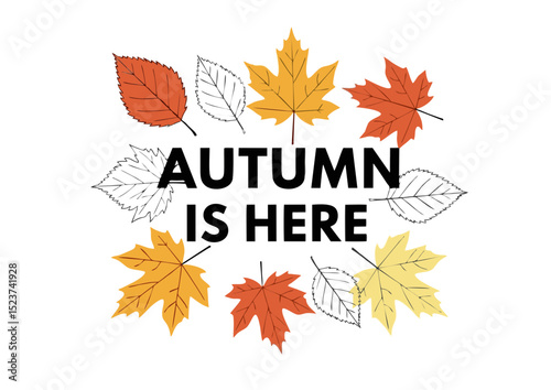 Autumn is Here Celebrate the Season with Vibrant Fall Leaves and Warm Colors - Perfect for Autumn Decorations, Fall Greetings, and Thanksgiving Designs