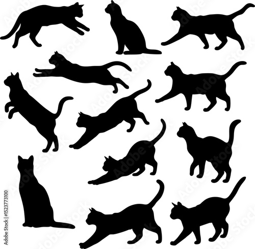 Adorable Collection of Black Cat Silhouettes Perfect for Design Projects and Pet Lovers