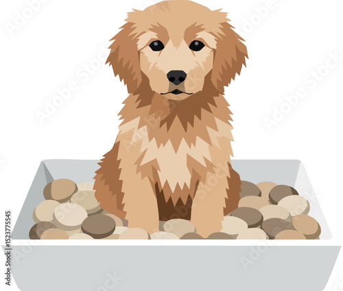 Golden retriever puppy sitting in white tray with stones vector illustration 