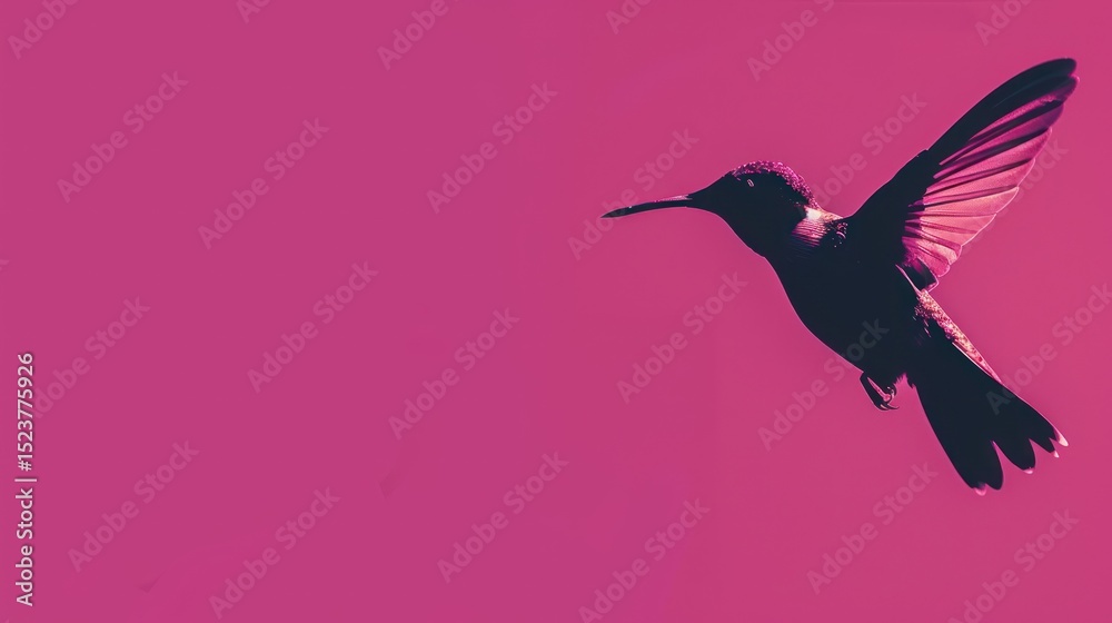 Obraz premium Hummingbird in Flight Against a Vibrant Pink Background with Copy Space for Your Creative Design