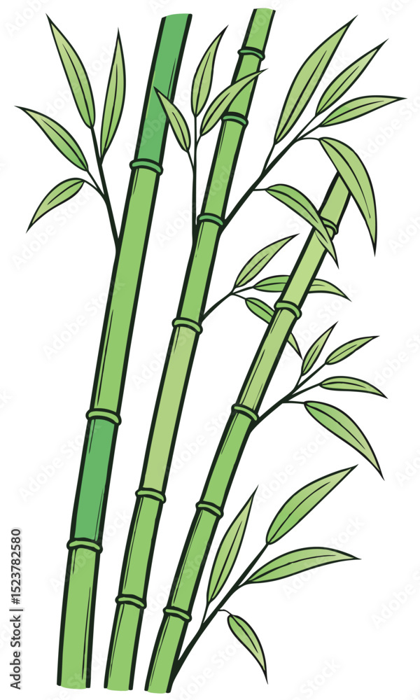 Naklejka premium Illustration vector style, Three bamboo stalks with green leaves, light green and dark green gradient, black outlines, on a white background