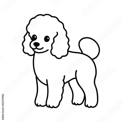 Cute Baby Poodle Vector illustration