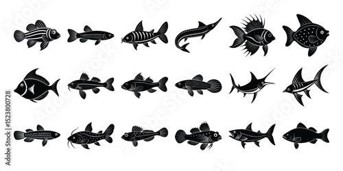 Collection of Diverse Fish Species Illustrations of Various Aquatic Life