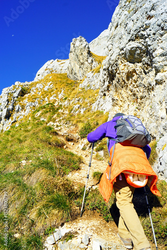 Tourist during a difficult hiking route: a man walks up a steep slope using trekking poles to ease the climb, vertical photo. Active holidays in the mountains of Montenegro: a hiker in the Durmitor 