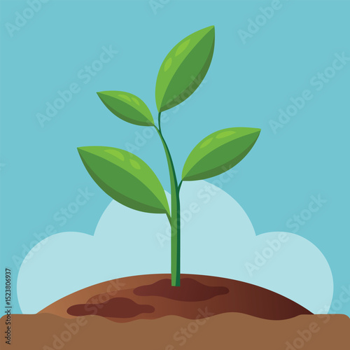 A young plant sprout emerging from the soil vector.