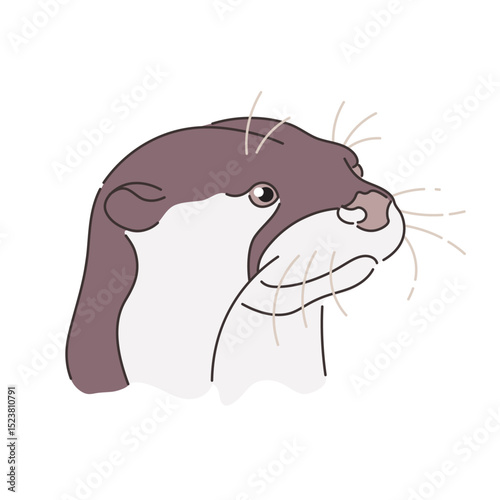 Otter's head on a transparent background. An image of an animal in lines. Vector illustration.