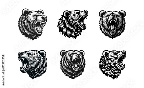 Bear Roaring Engraving black white