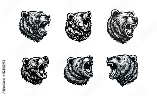 Bear Roaring Engraving black white