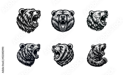 Bear Roaring Engraving black white