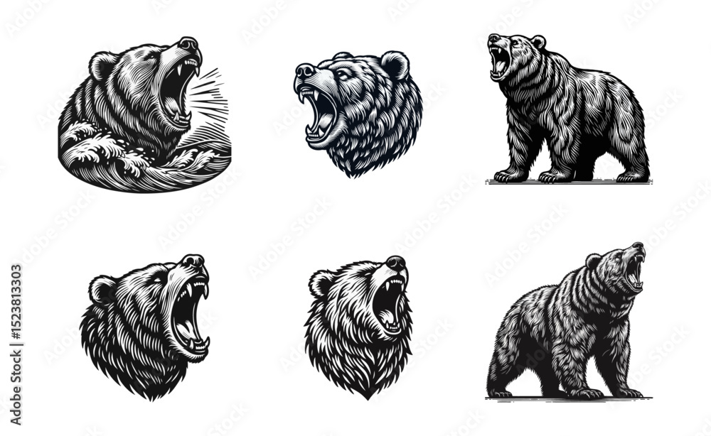 Obraz premium Bear Roaring Engraving black white