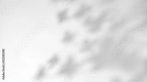 plant leaves sunlight natural shadow overlay on white wall background	

