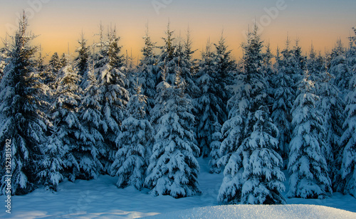 the sun sets on a beautiful evening over the snowy Forest