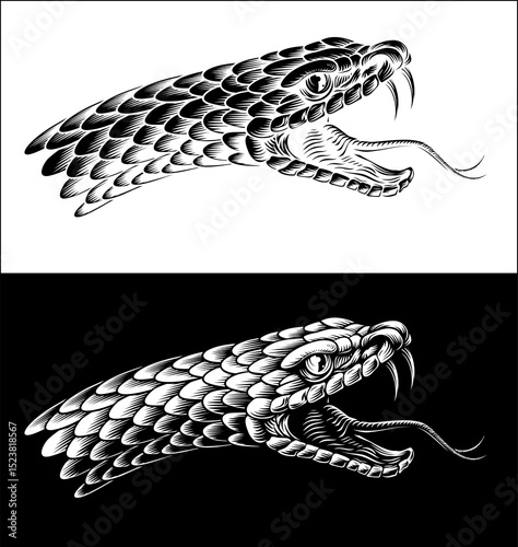 Snake Head Woodcut Vintage ...
