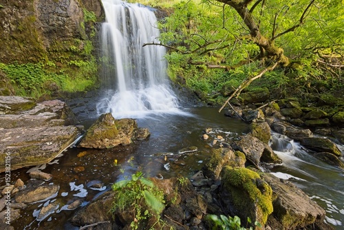 Waterfall  in green envoirment