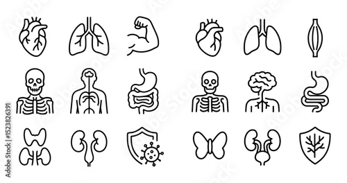 Minimalist Body System Icons