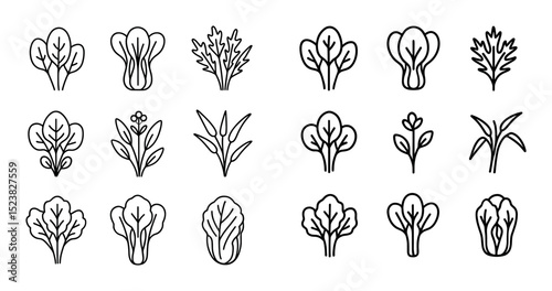 Asian Greens Icons
