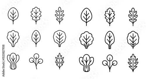 Leafy Greens Icons