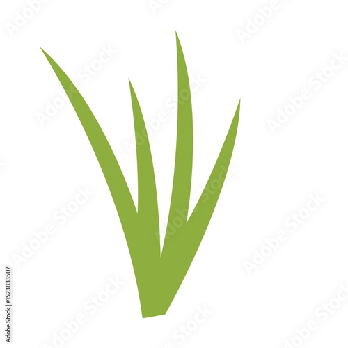 Vector illustration of sharp green grass blades in flat style, ideal for outdoor scenes, gardens, nature designs, and ecological themes.
