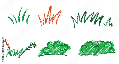 Set Various Grass and Plant, Crayon Sketch, at White Background