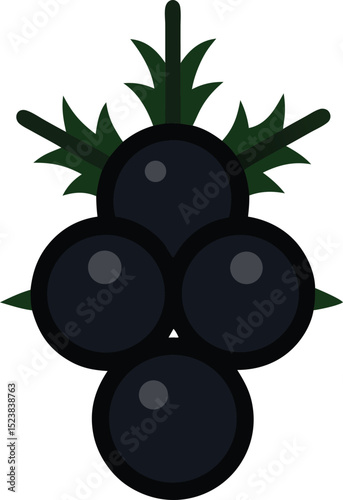 Juniper Berry Icon, Black Outline, White Background, Simple Line Art