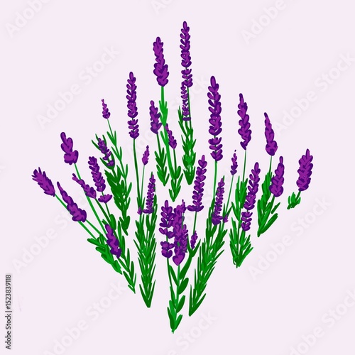 Fototapeta Naklejka Na Ścianę i Meble -  Seamless watercolour and unique floral pattern background for covers, notes, banner. Soft backgrounds colour. Watercolour art work. Flower stalk. Colourful flower.