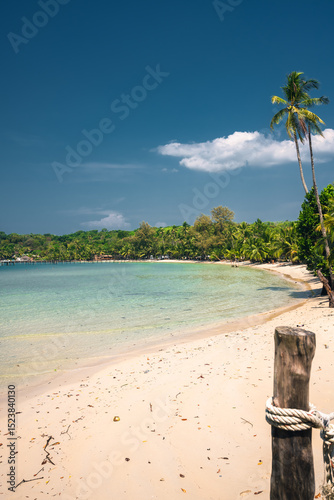 Fototapeta Naklejka Na Ścianę i Meble -  paradise beach with turquoise water, wooden pier and tropical palm trees, summer holidays in Thailand, Koh Kood