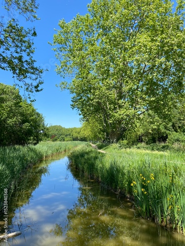 Peaceful river at spring