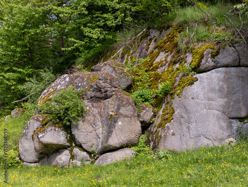 A large rock in the middle of a grassy field of yellow flowers