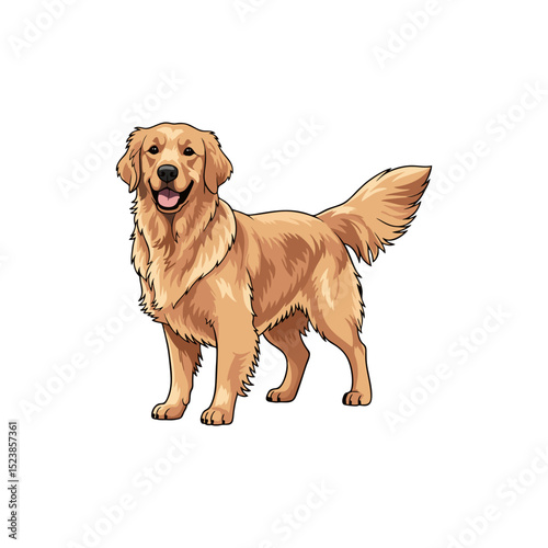 Ilustration vector golden retriever isolated on white