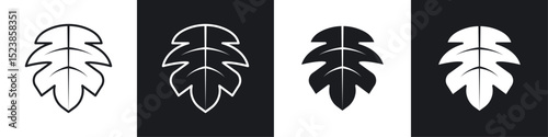 Monstera deliciosa plant leaf icons graphic vectors