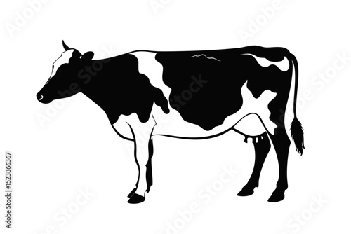 cow on a white background