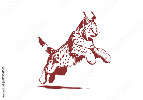  Lynx hand drawn sketch vector illustration