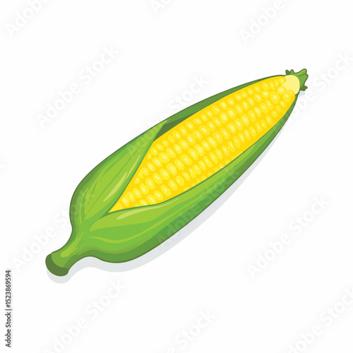 Single ear of corn on the cob, vibrant green and yellow illustration