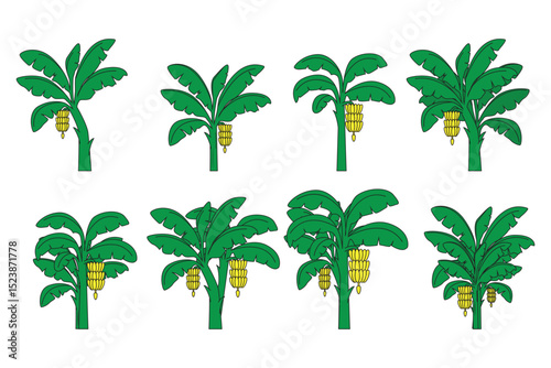 Set of Cartoon Banana Tree Illustrations with Bananas
