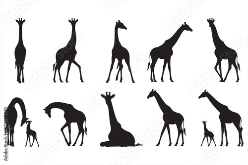 Group of giraffes in silhouette style, five giraffes interacting and grazing on plains