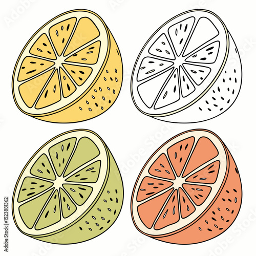 Citrus fruits cross sections icons, set of citrus fruit