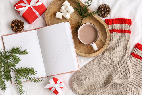 Cozy winter holiday flat la...