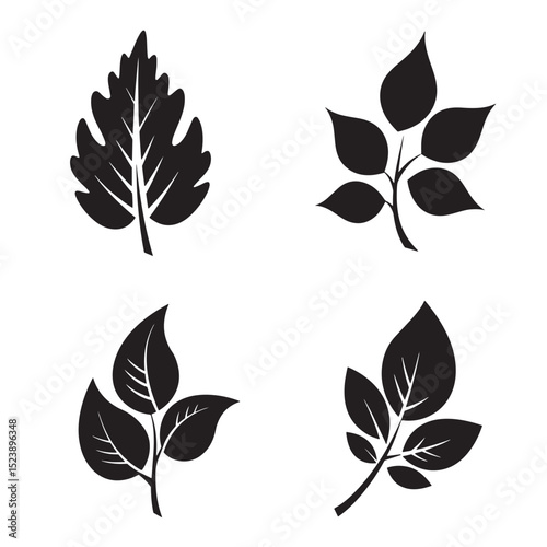 Elegant silhouette leaf design collection of black and white botanical elements for decorative use