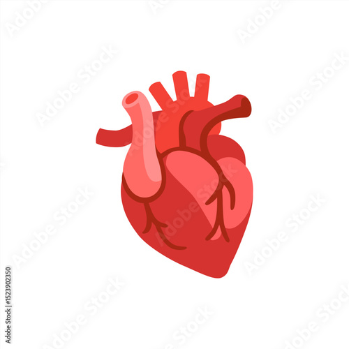 Emoji human Heart. Real human heart organ icon. Red heart icon in flat style isolated vector illustration. human heart. medical icon. health symbol.