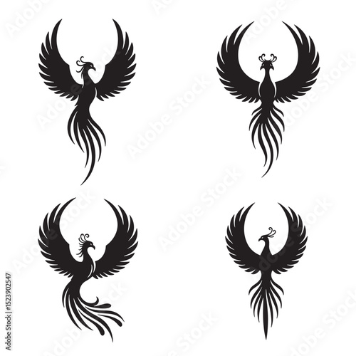 Vector illustration set of phoenix bird silhouettes in black and white isolated on a white background