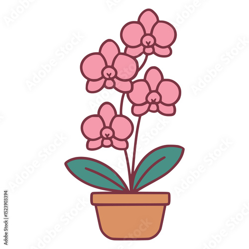 pink orchid on a pot plant flora flat color vector illustration template design