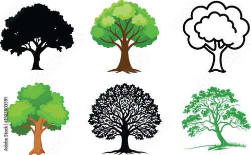 Oak Tree illustration vector design
