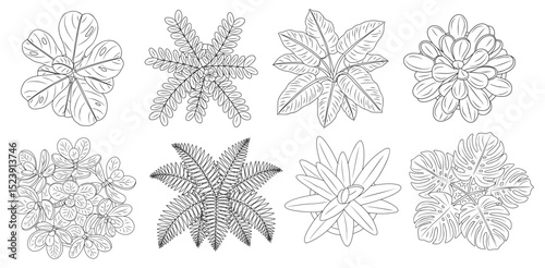 Set of different house plants top view. Cactus, aloe, monstera, palms black line art icons for landscape, architectural, interior design. Hand drawn Vector sketch isolated