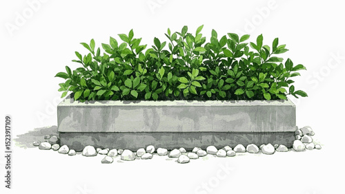 Leaf & Pigment Pool plant pot isolated watercolor vector illustration svg