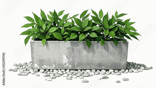 Ceramic Root Flow plant pot isolated watercolor vector illustration svg
