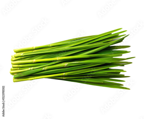 Fresh green chives for culinary use and garnishing dishes, cut out transparent photo